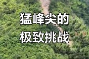 华体会在线登录-关于挑战极限热血飞扬，争取荣耀豪情碰撞的信息