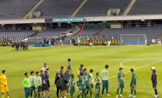 华体会vip注册-球迷支持层出不穷：球队赢球，球迷狂热助威难挡的简单介绍